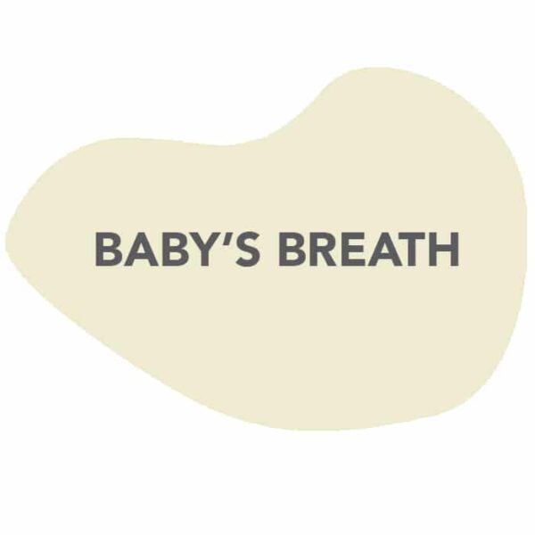 Ally Brush Exterior - Imatge 3