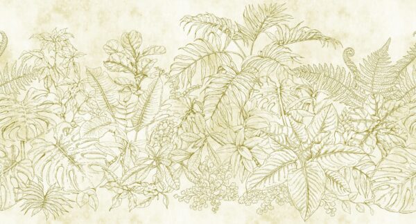 FERN GARDEN 1 111091